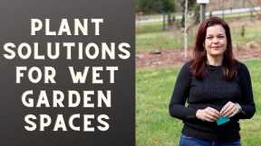 Solutions for Problem Areas | Wet Garden Spaces | Gardening with Creekside