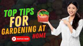Top tips For Gardening at home || Secret Tips to Grow your garden