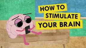 How to Give Your Brain the Stimulation It Needs