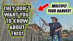 They DONT WANT YOU TO KNOW this secret GARDENING HACK that will change the way you garden FOREVER!!