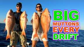 Drifting for BIG mutton snapper | Catch N Cook