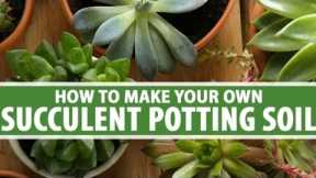 How to make your own succulent soil mix|Explore your hobbies!