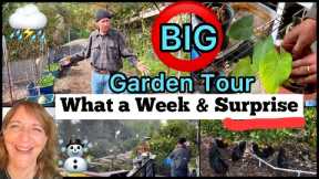 FULL Garden Tour Vegetables, Sweet Potatoes, Making FREE Soil Compost, Container Gardening, Chickens