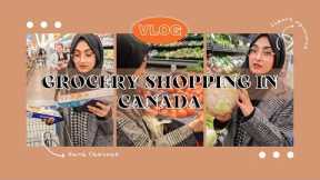 Grocery Shopping in Ontario | Does Walmart fulfil our grocery needs? | Grocery Shopping Series - Ep2