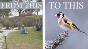 BIGINNER TIPS to BIRD PHOTOGRAPHY // Garden birds from start to finish