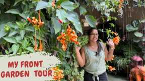 My Garden Tour|| My home entrance decoration||Plants Tour||Garden tour backyard gardening