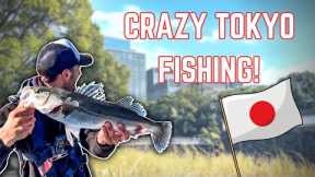 A guide to fishing in Tokyo - THE URBAN FISHING CAPITAL OF THE WORLD 🏙️ 🇯🇵 (4K)