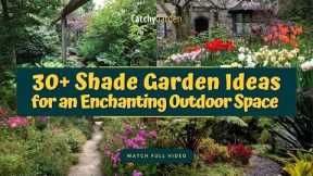 30+ Shade Garden Ideas for an Enchanting Outdoor Space 🌸🌳 // Gardening Ideas