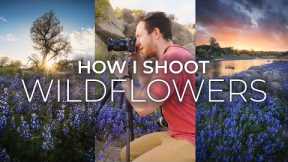 My Favorite Tips For Wildflower Photography & Mistakes To Avoid