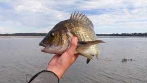 How To Catch Bream On Lures - Land Based Fishing Techniques