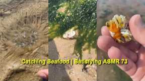 Catching Seafood 🐠🦀 Fish, Clam, Octopus, Crab, Shrimp (Fishing Videos) Satisfying ASMR🎣 #vlog73