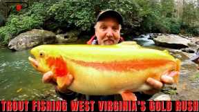 Trout Fishing West Virginia's Gold Rush