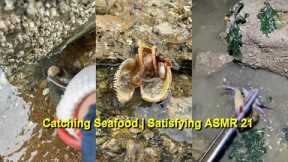 Catching Seafood 🐠🦀 Fish, Clam, Octopus, Crab, Shrimp (Fishing Videos) Satisfying ASMR  #21