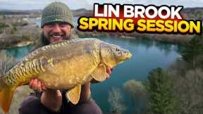 Searching For A Lin Brook Banger In The Spring! Carp Fishing Vlog