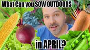 What seeds Can You Direct Sow in April?