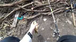 Fishing for crucian carp on spinning and fishing rod, the bite is just crazy!