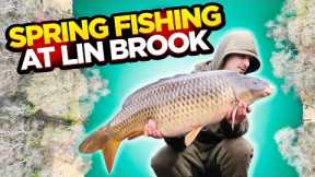 Carp Fishing Vlog At Lin Brook Fishery!