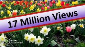 17 Million Views - 10 top Garden Myth Questions