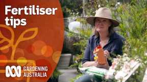 Follow these fertiliser tips for great results in your garden | Gardening 101 | Gardening Australia