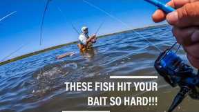 THIS IS THE KIND OF FISHING EVERY FISHERMAN HOPES FOR!!!
