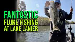 Fantastic Fluke Fishing At Lake Lanier #lakelanierfishing2023