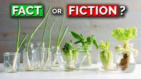 The TRUTH About Regrowing Veggies From Kitchen Scraps