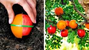Incredible Gardening Hacks And Plant Growing Tips
