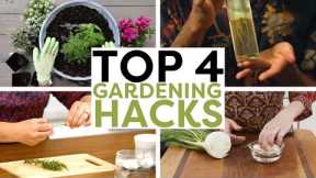 4 Gardening Hacks to Help Your Plants Prosper | HGTV Handmade