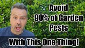 This ONE THING Gets Rid of 90% of Pest Damage in Your Garden.