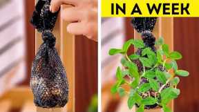 🧑‍🌾🌱 Garden Hacks 101! Simple Tips to Unlock your Inner Gardener