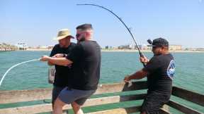 Fisherman Lands Huge 6 ft Creature at the Fishing Pier
