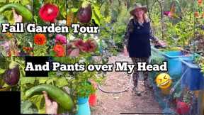 Fall Garden Tour Still Growing Zucchini Tomatoes Cucumbers Herbs in Container Gardening