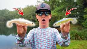 I Went Fishing With The Most REALISTIC Lures (Science Experiment)