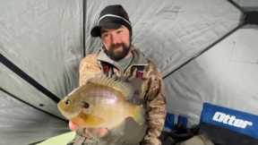 Early Ice Crappies And Bluegills (FT. FISHNMORE)