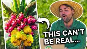 Gardeners React to Best & WORST Garden Hacks