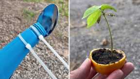 12 Simple Gardening Tips and Tricks