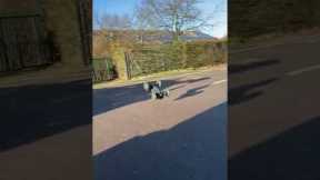 over volted rc car