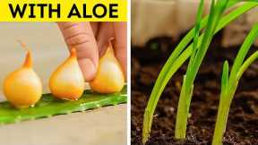 Gardening Hacks for Growing Healthy Plants with Minimal Space