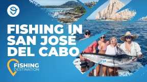 San José Del Cabo Fishing: A Quick Guide