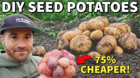 This Tip Will Save You BIG MONEY Growing Potatoes!