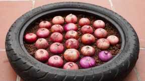 TIMELAPSE: Grow Vegetable Gardening Tips on Balconies and Rooftops for Beginners