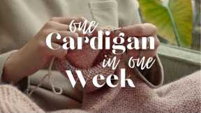 Attempting to knit a cardigan in a week!