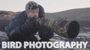 How to photograph shorebirds in the winter // Bird photography at the coast