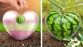 Discover New Gardening Hacks for Spring 🥕🌱🌷Beautiful Ideas for Abundant Flowers and Veggies