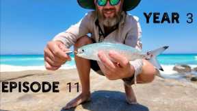 Rock Fishing for Herring | Easy Way to Cook Abalone