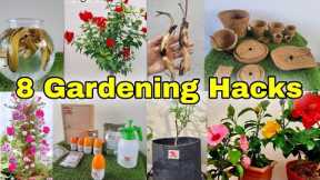8 Gardening Hacks for all seasons | Fertilizer for plants [English cc]