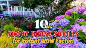 10 BEST FRONT HOUSE SHRUBS for Instant WOW Factor! 🌿🏡🌺 // Gardening Ideas
