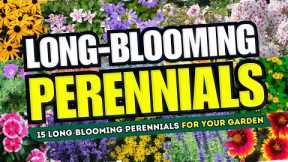 🌼💖 ENDLESS BLOOMS! 15 Long BLOOMING Perennials to Keep Your Garden VIBRANT! 😍🌸