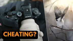 Sony A9III for Bird Photography - 120 FPS BURST TEST