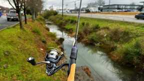 Tiny Urban Creek Fishing AGAIN!!
